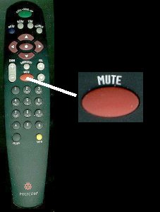 Mute Button