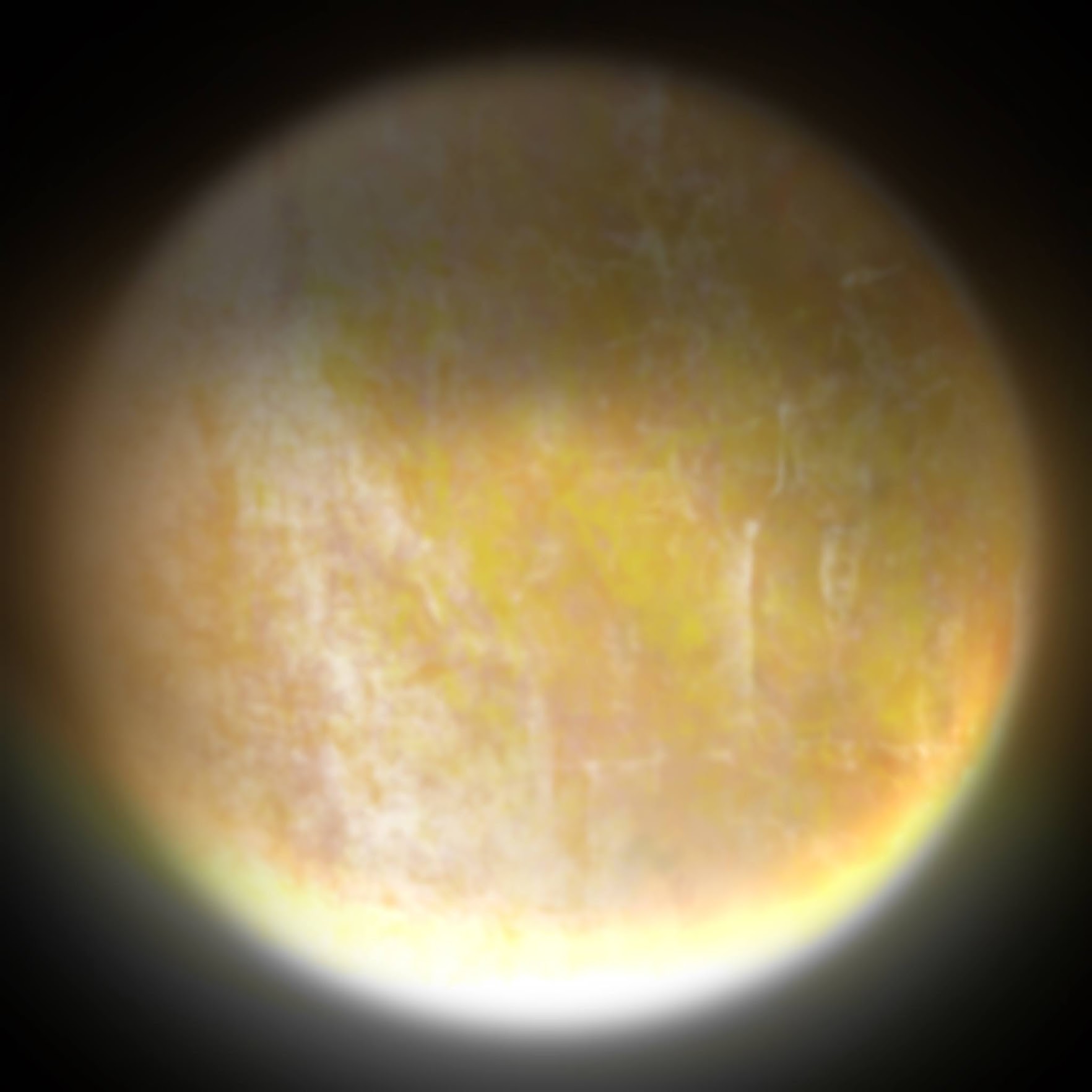Star 7