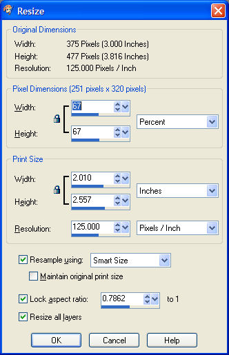 PSP Resize Dialog