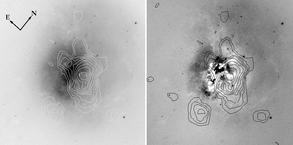 Medion treiber download